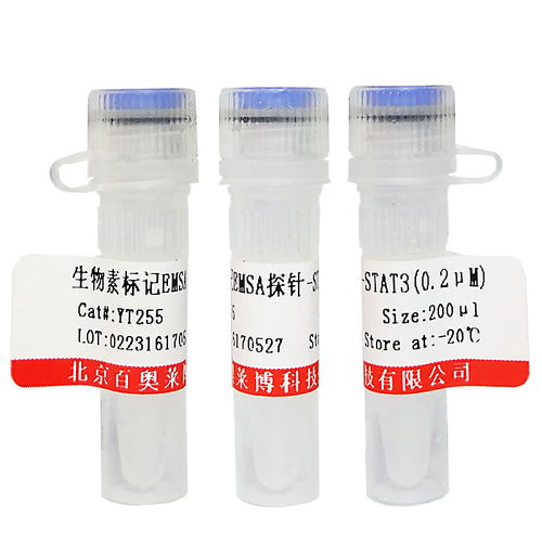 非臨床診斷用生物試劑采購指南 染色試劑價格與供應(yīng)商信息解析